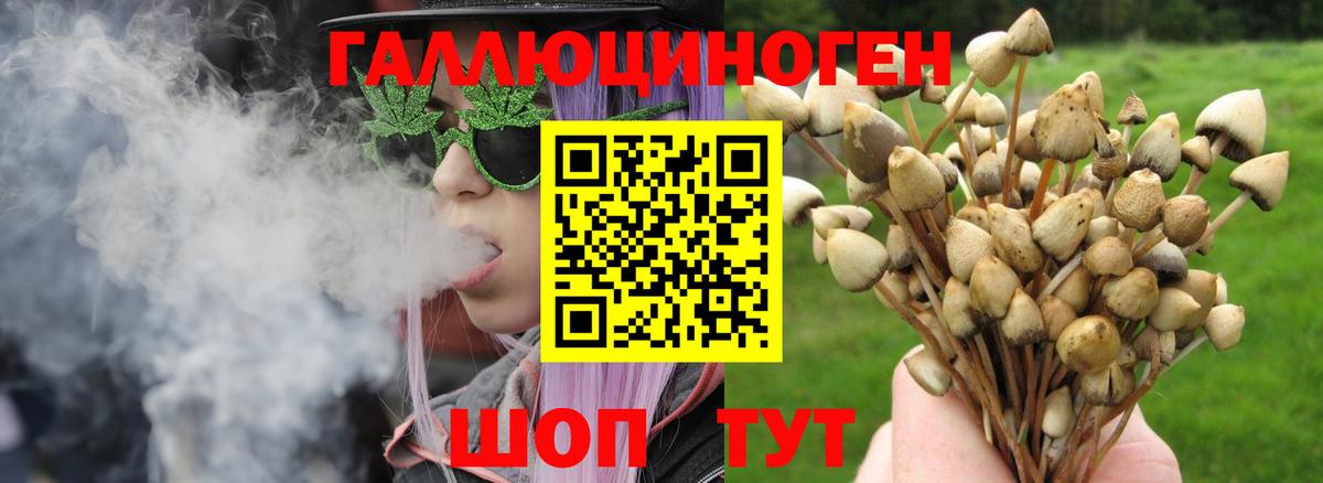 Псилоцибиновые грибы мицелий  Вход с VPN  Горно-Алтайск 
